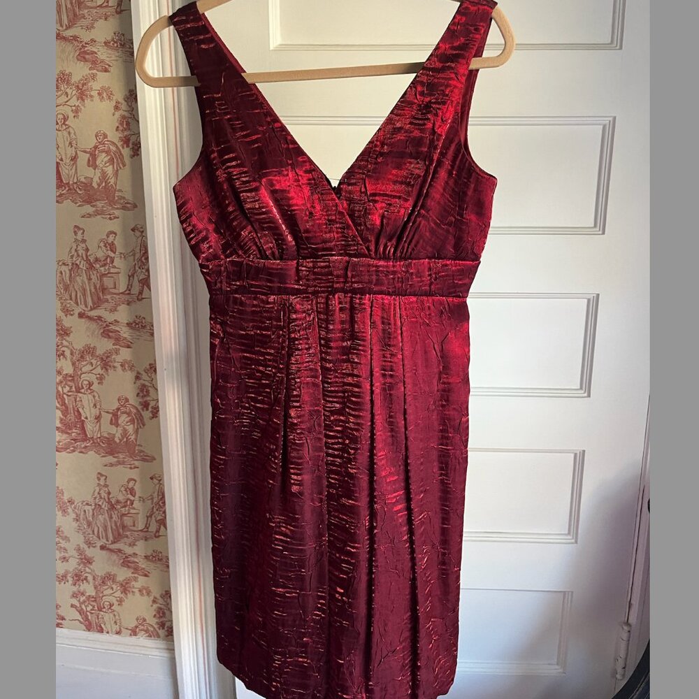 Muse Crushed Velvet Dress, Size 6